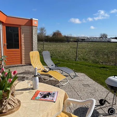 Zeester 244 Julianadorp